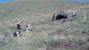 2014 April 19 SFW Smithfield Dry Canyon Planting